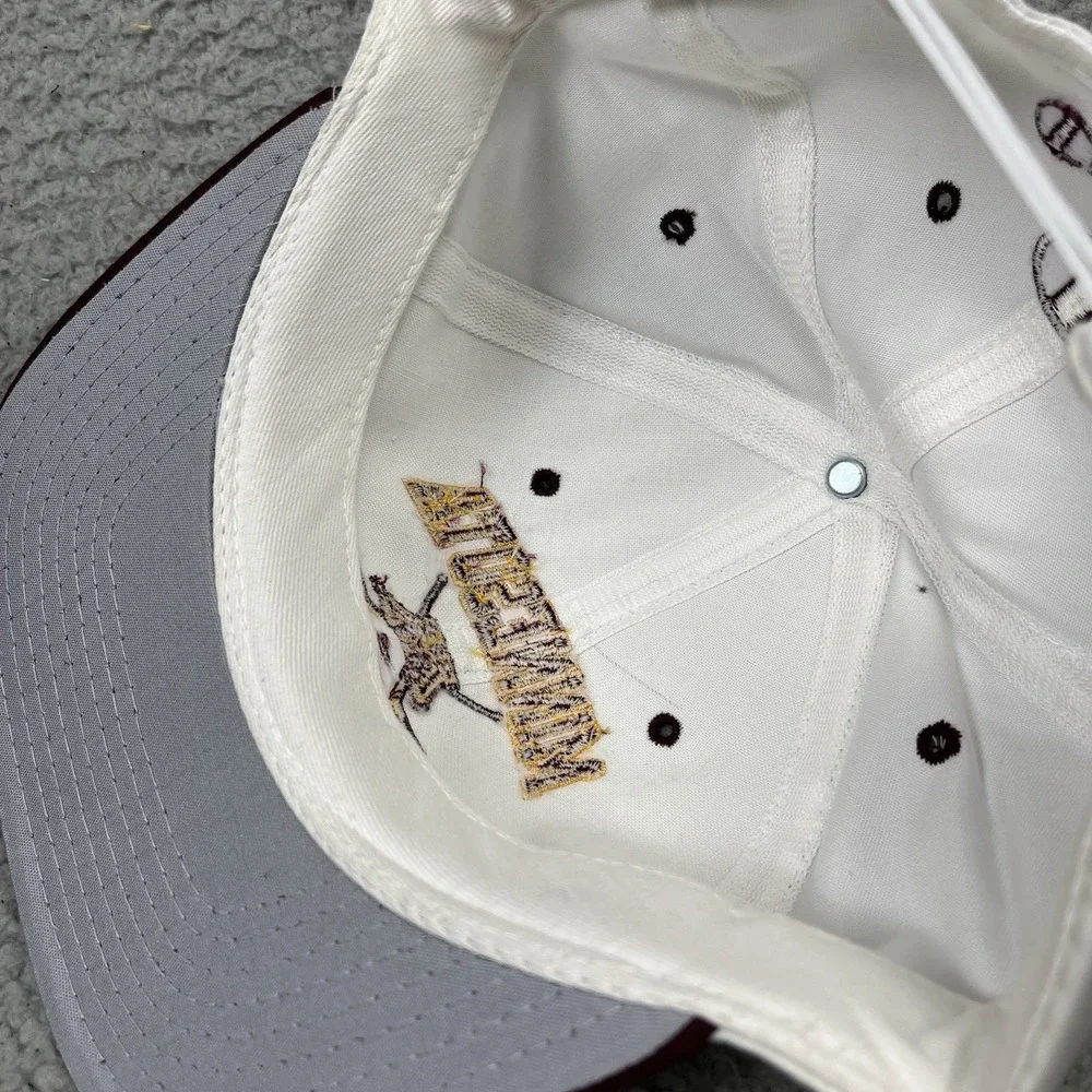 Vintage Minnesota Golden Gophers Hockey Snapback Hat Cap‎ Champion